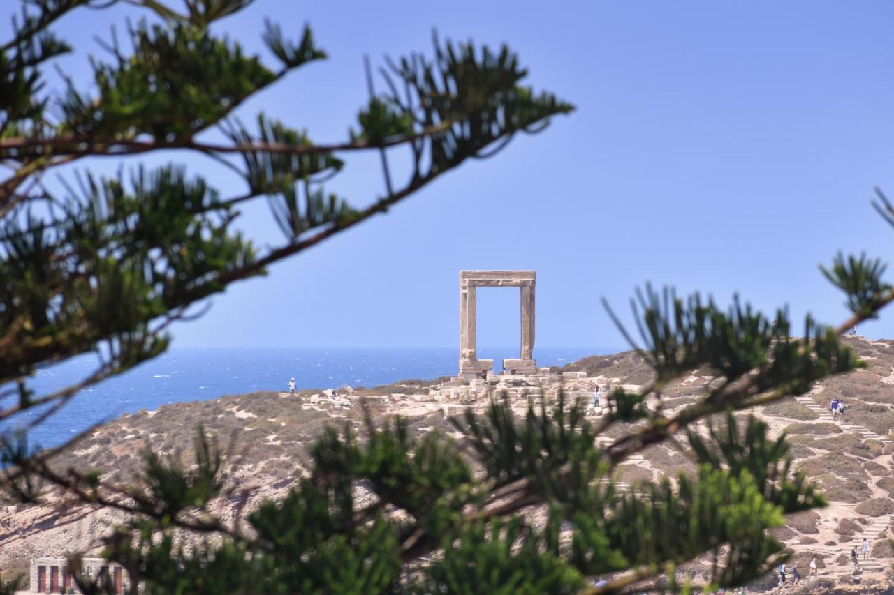 Mariet Naxos Spa & Suites Naxos City Eksteriør bilde